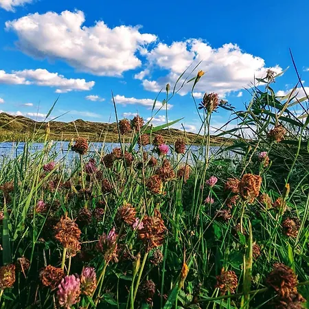 度假居 6 Person In *