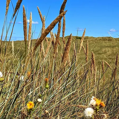 بيت للعطل 6 Person In