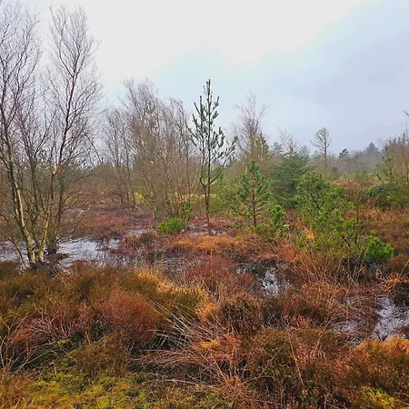 6 Person In بيت للعطل Nørre Nebel