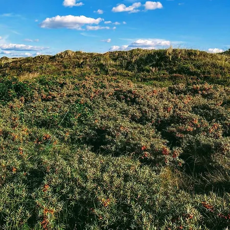 度假居 6 Person In Nørre Nebel