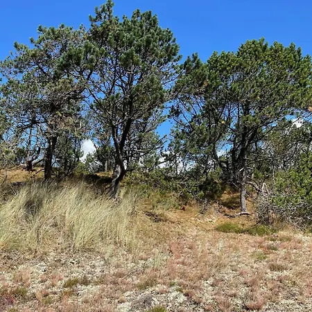6 Person In * Nørre Nebel