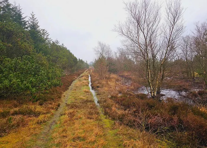 6 Person In * Nørre Nebel