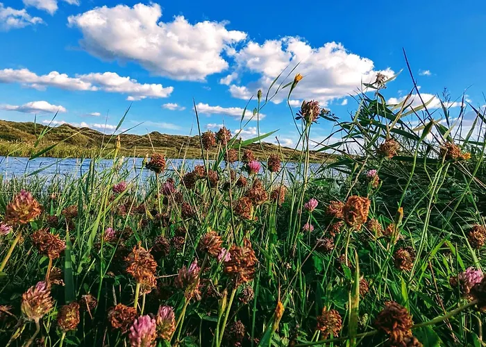 بيت للعطل 6 Person In *