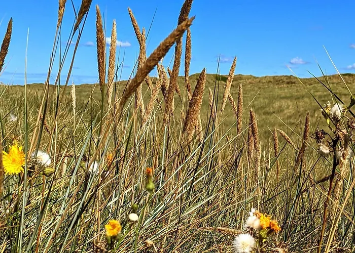 بيت للعطل 6 Person In