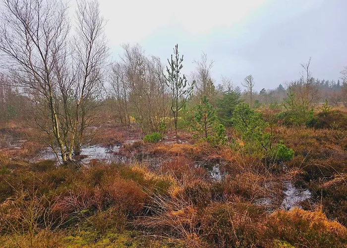6 Person In بيت للعطل Nørre Nebel
