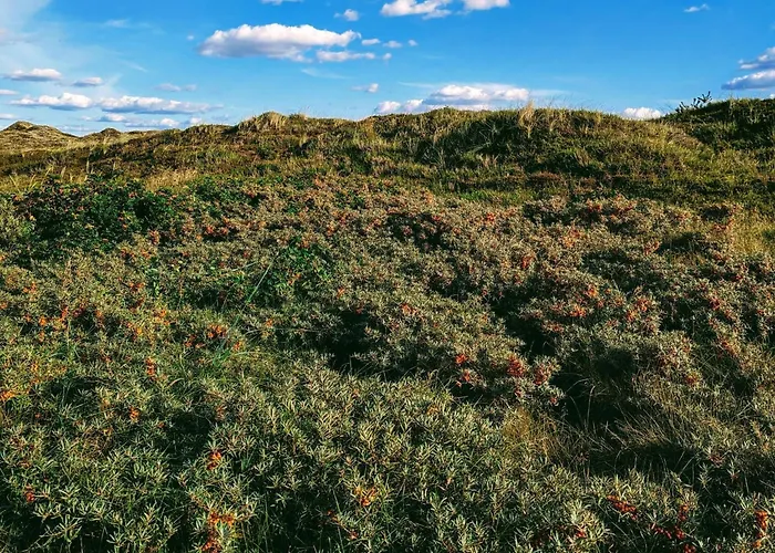 بيت للعطل 6 Person In Nørre Nebel