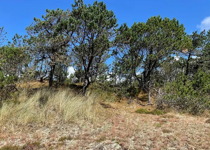 6 Person In * Nørre Nebel